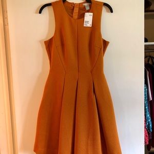 Orange flare H&M NWT.